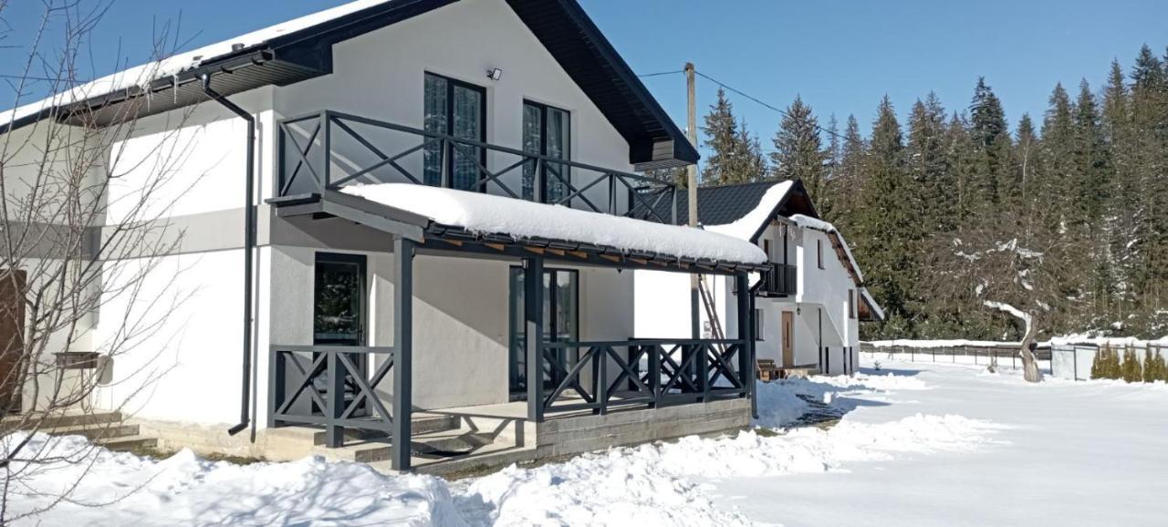 U Anastasii I Sofii Bilya Richki Guest House Mykulychyn Exterior photo