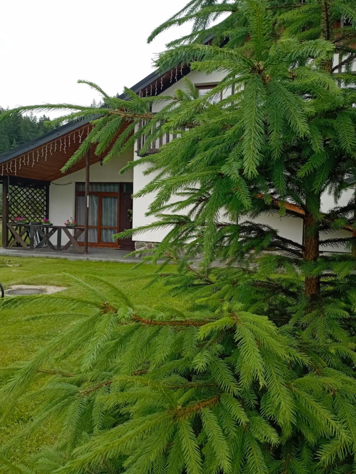 U Anastasii I Sofii Bilya Richki Guest House Mykulychyn Exterior photo