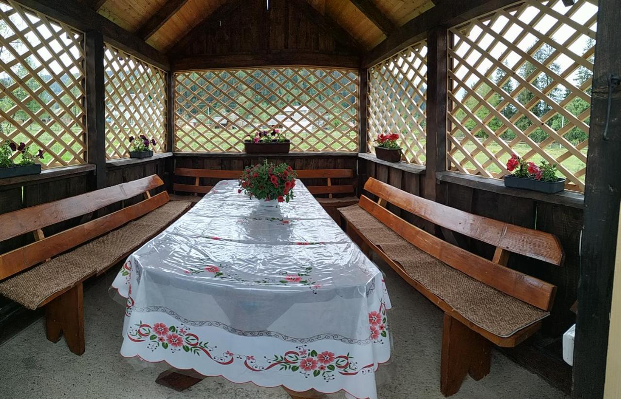 U Anastasii I Sofii Bilya Richki Guest House Mykulychyn Exterior photo